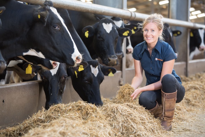 Poor silage costly to UK livestock farmers