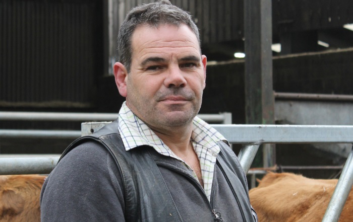 Dairy cow management made simple with one bolus