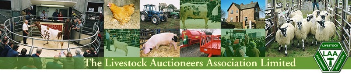Three reasons why livestock auction marts can’t sustain disproportionate business rate hikes