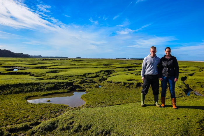 Salt marsh lamb: the Welsh delicacy coming into season this May/June