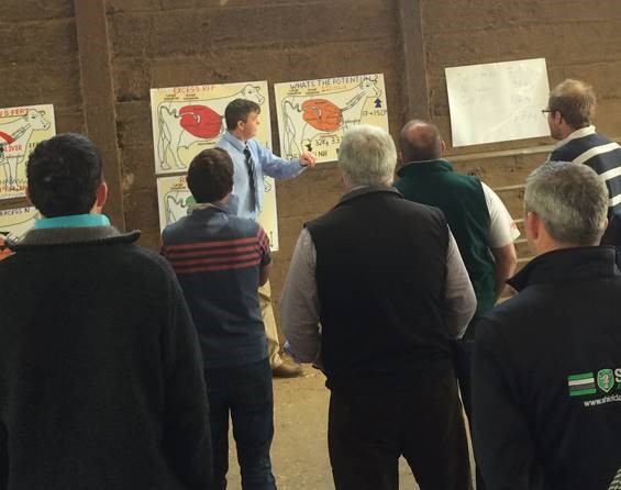 Silage sampling key to maximising forage efficiency