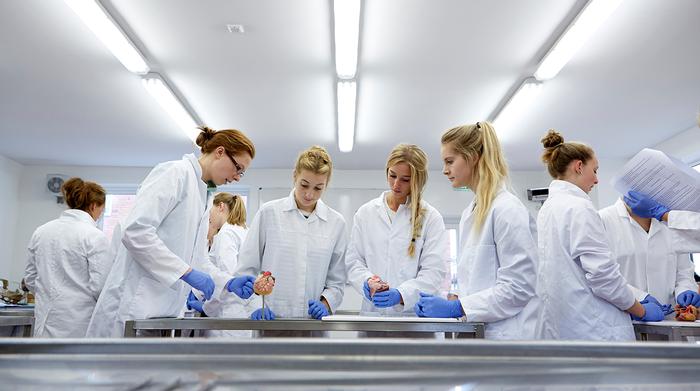 Harper and Keele talk joint vet school