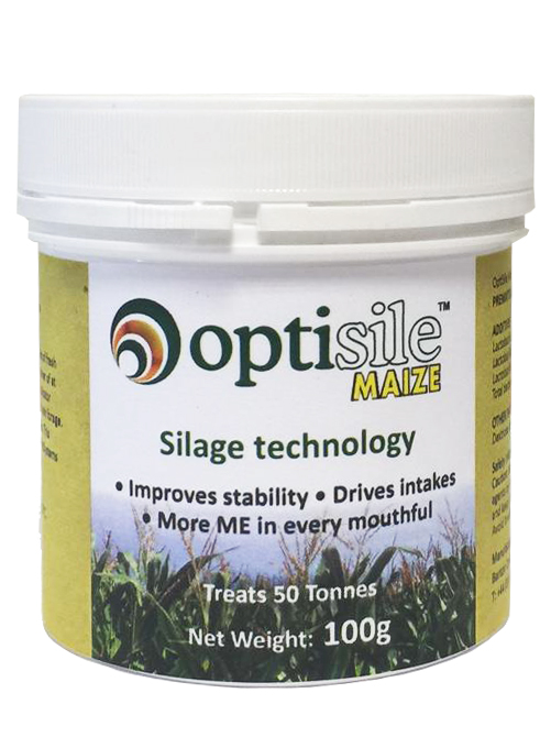 Maize silage £-value maximised by acetic acid