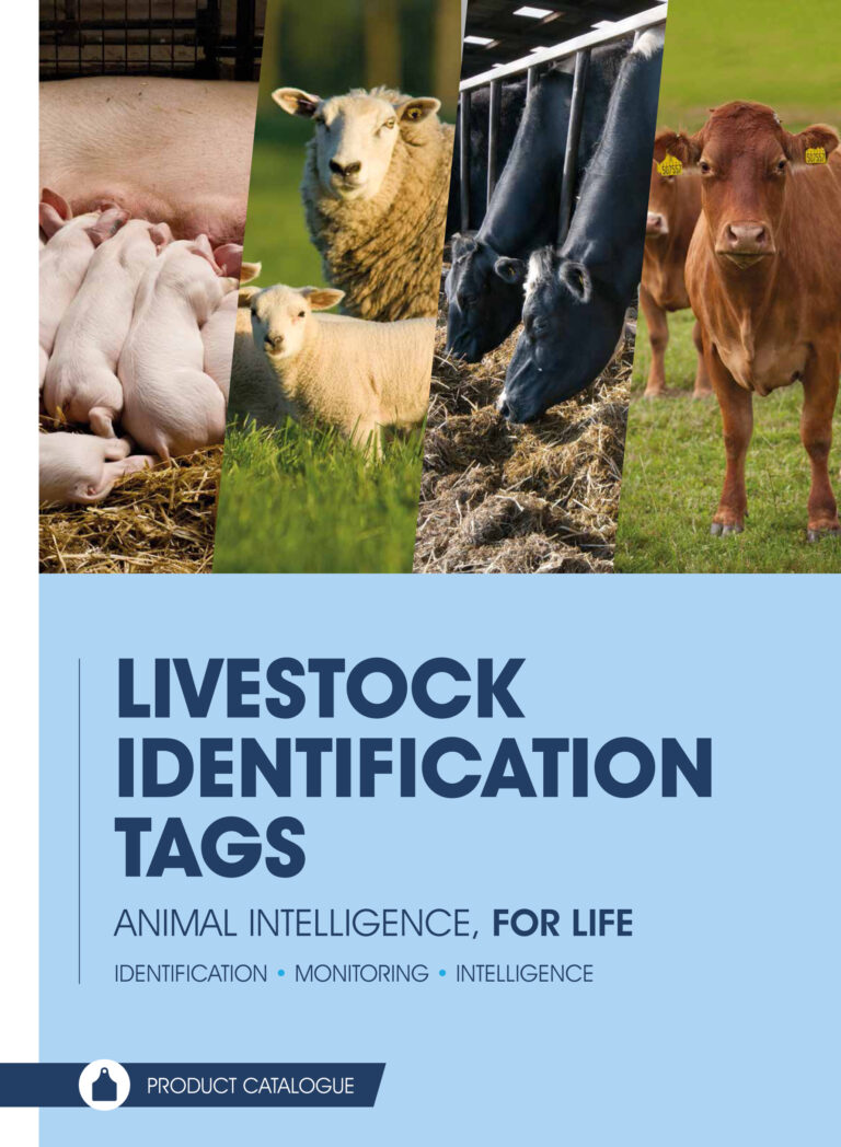 Livestock ID and tagging guide offers valuable herd and flock management advice
