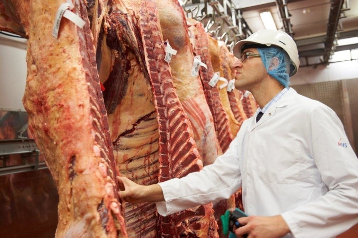 Shortage of vets could interrupt post-Brexit trade