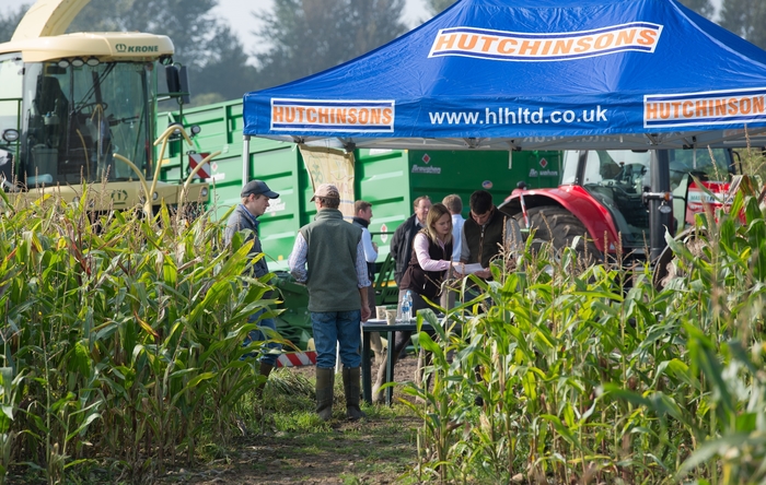 Trials reinforce importance of extending maize nutrition