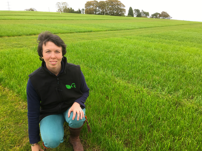 Germinal to establish forage crop research station to boost opportunities for sustainable livestock farming