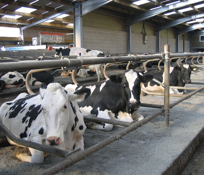 Survey findings helpful to dairy farming’s good image