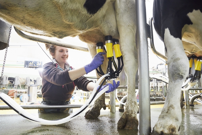 Automatic Dipping and Flushing in Action for the First Time at LAMMA