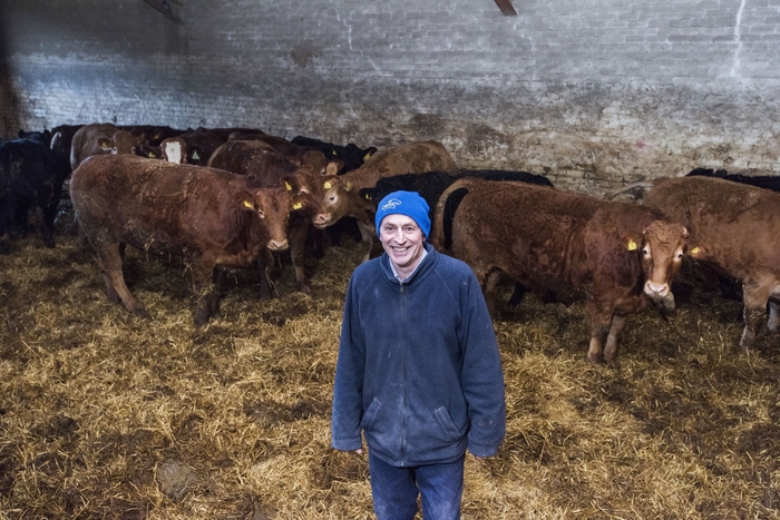 Angus monitor farm to overhaul cattle enterprise