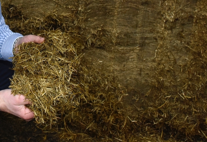 Clamps a valuable source of information