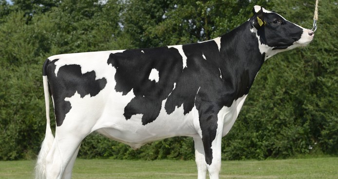 Three young sires makes their debut amonst proven top 10