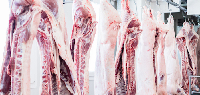 Review of cutting plants and cold stores