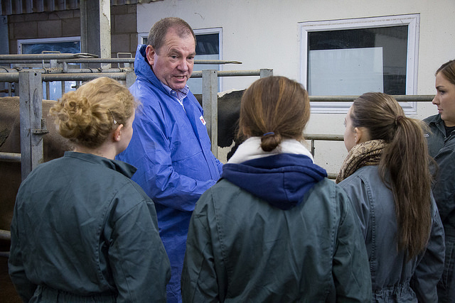 Critical role of vets recognised in new report on post Brexit trade in food