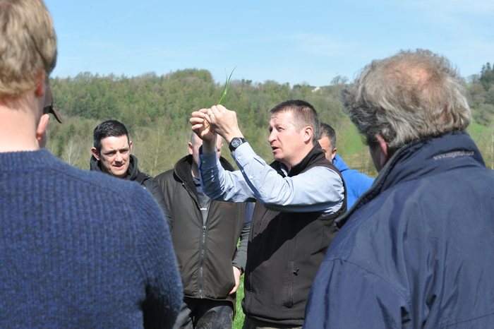 Master Grass helps dairy farmers hone their grassland management skills