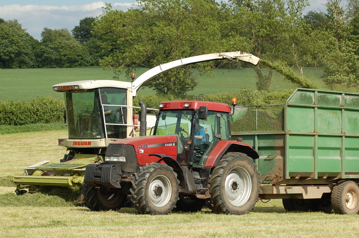 Encouraging signs for first cuts