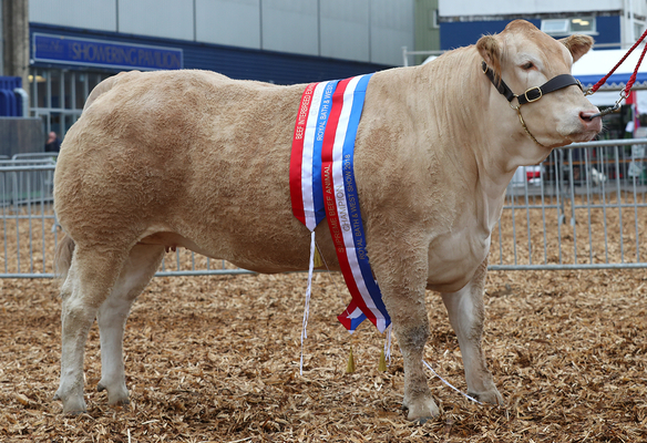 Local farmers beat off tough competition at Royal Bath & West Show