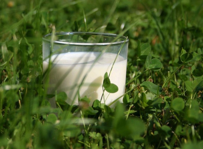 Arla to increase price paid for milk