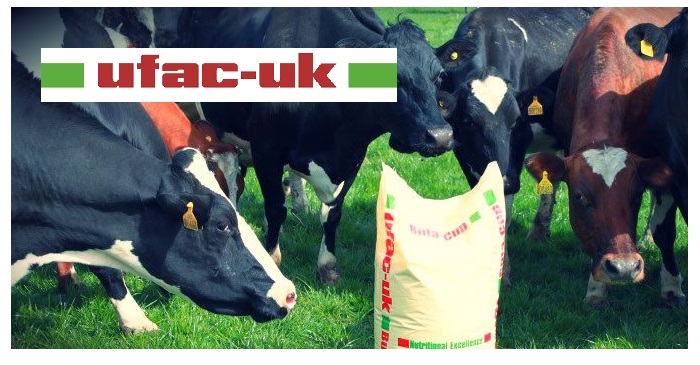 Bicarb shortage shifts focus to alternative buffers