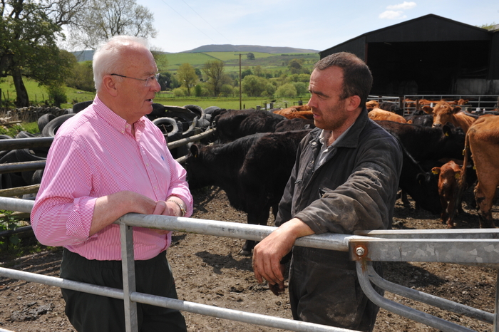 BVD in wales – over half of herds screened as extra push is launched