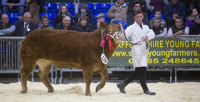 Bumper entries add to English Winter Fair excitement