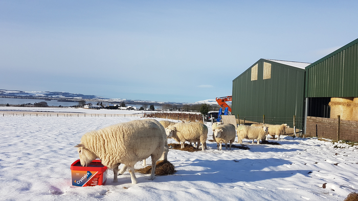 Crystalyx celebrates 40 years of success at Agriscot 2018
