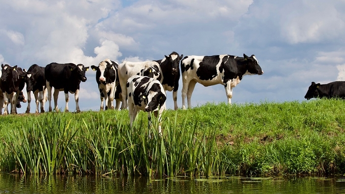 Strong return on investment for grassland best practice
