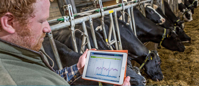 Herd, heifer and youngstock monitoring goes the full distance with new virtual network from SenseHub