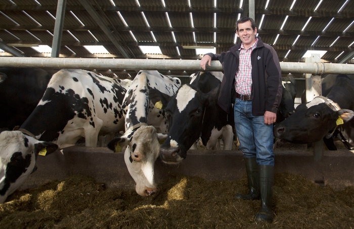 Pushing up herd productivity