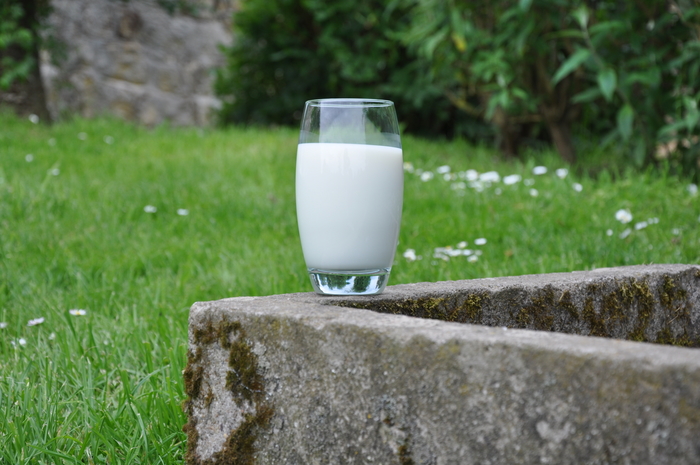How dairy milk alternatives could dry up