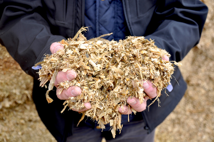 Improving calf performance, upcoming maize harvest and grass grazing quality all put under microscope at UK Dairy Day