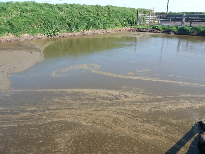 Slurry-2-Money initiative launch at UK Dairy Day