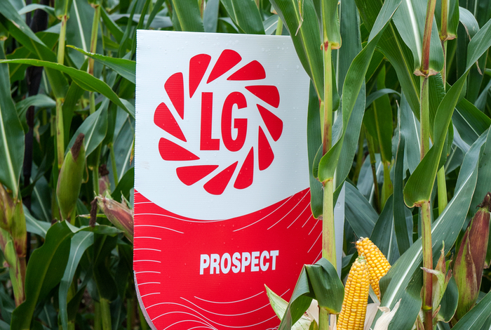 Prospect delivers on all fronts