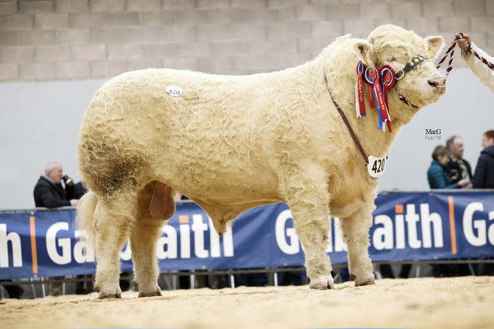 EBV work goes in-house