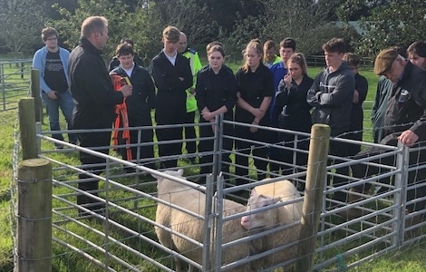 Help fight rural crime with internet of things