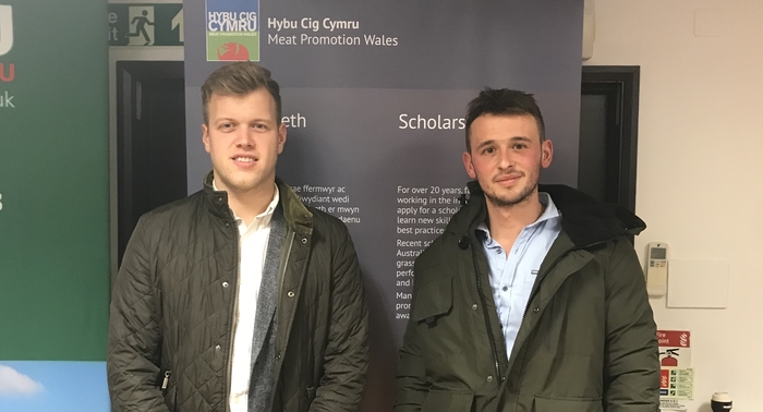 New Year, New Scholarship Association Chair