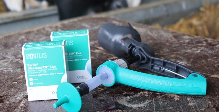 New calf pneumonia vaccine protects calves earlier and faster