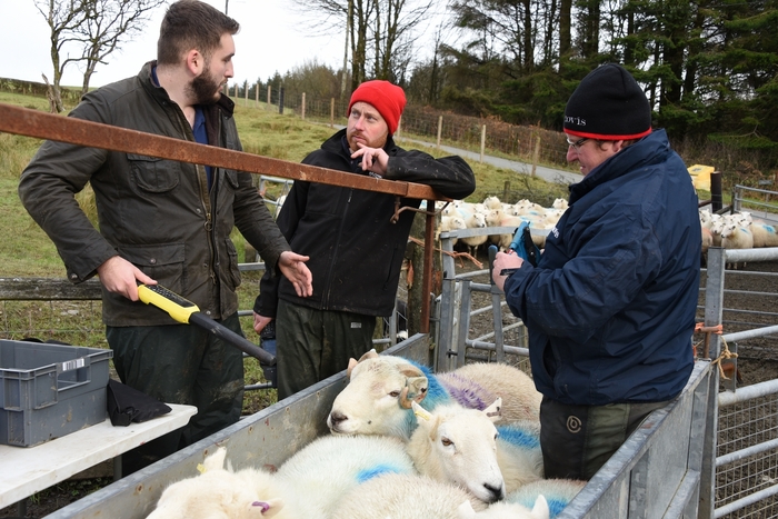 Deadline approaching for Hill Ram Scheme