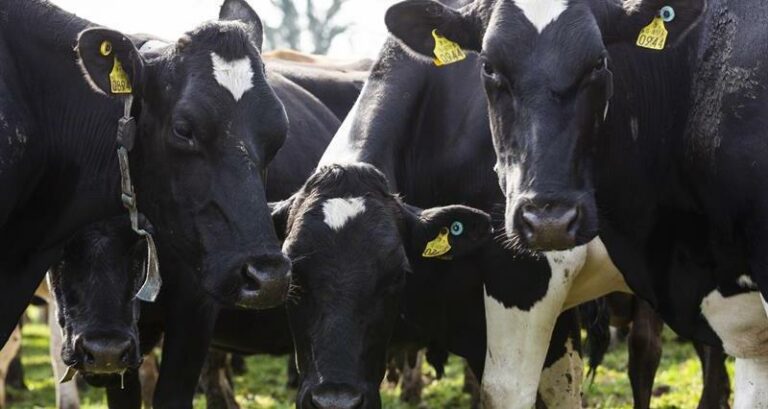 Rampant inflation requires a ‘reset’ of relationships, expectations and price levels in the dairy supply chain