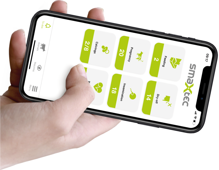 VikingGenetics to market health, oestrus and calving alert system