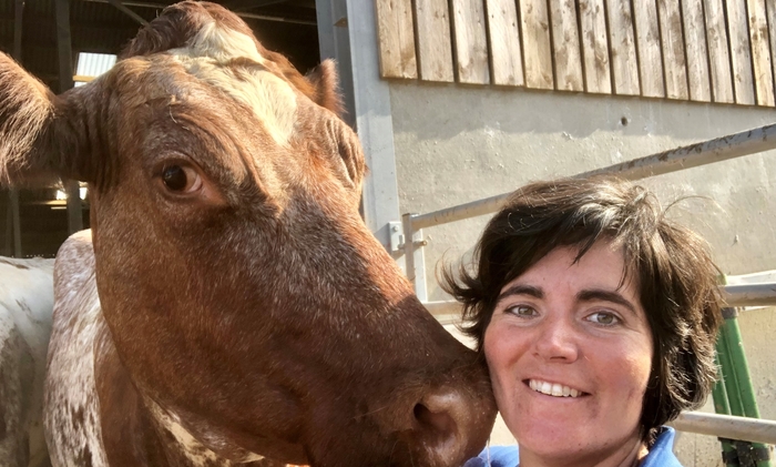 Three outstanding finalists selected for Dairy Industry Woman of the Year award