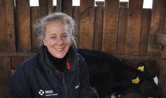 Vaccinate calves against bacterial pneumonia this autumn