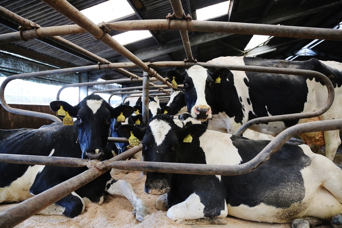 Project gets funding to develop digital dairy
