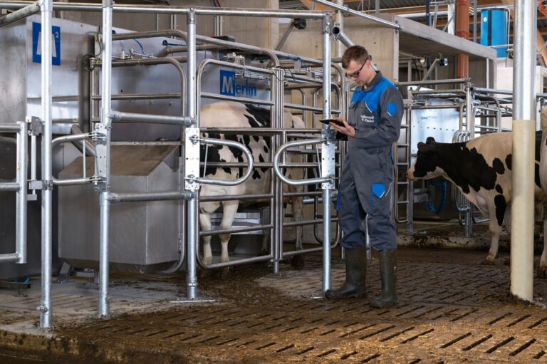 Firmware update puts cows first in automated milking system