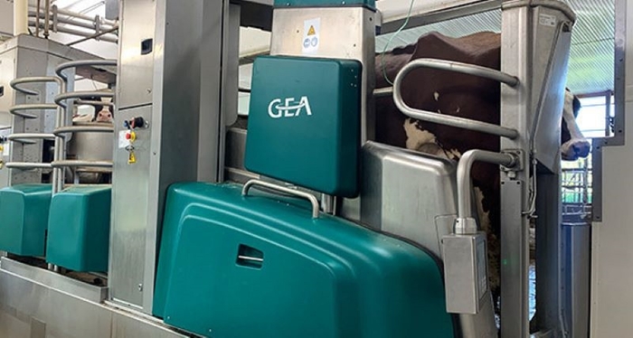 Automation is key to increasing milking efficiency