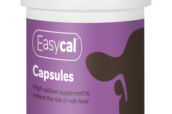 New high calcium capsule targets post-calving problems
