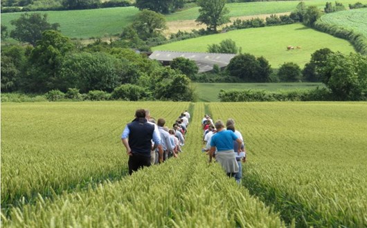 AHDB launches Carbon Week to support farmers