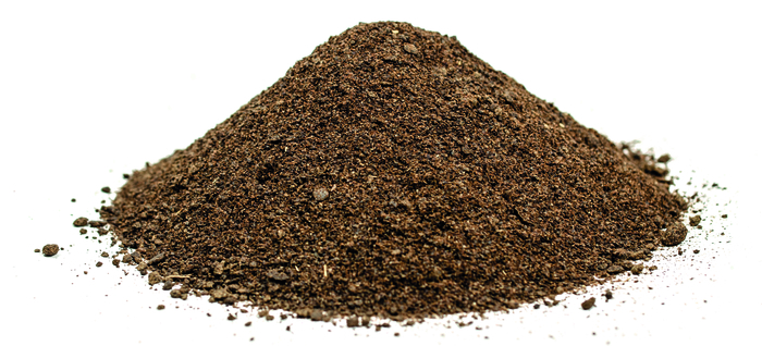 UK-grown soya feed alternative scoops Royal Dairy innovation award