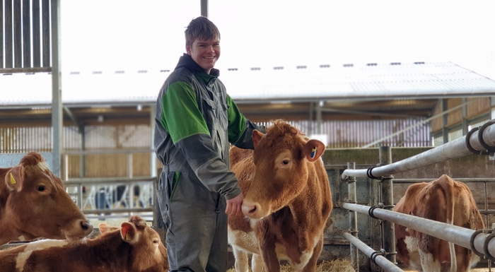 New herd of pedigree cattle will bring research benefits