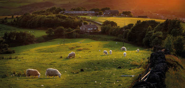 A new dawn for British farming British